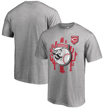 Cincinnati Reds Fanatics Branded 2018 MLB Spring Training Vintage T Shirt Heather Gray - Click Image to Close