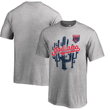Cleveland Indians Fanatics Branded 2018 MLB Spring Training Vintage T Shirt Heather Gray - Click Image to Close