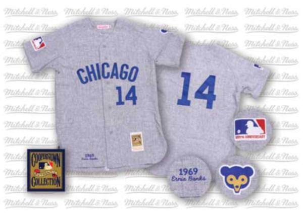 Mitchell and Ness Cubs #14 Ernie Banks Stitched Grey Throwback MLB Jersey